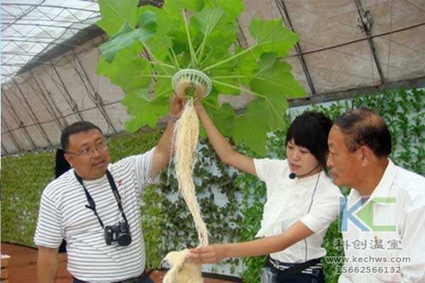 無(wú)土栽培，無(wú)土栽培技術(shù)，無(wú)土栽培設(shè)備