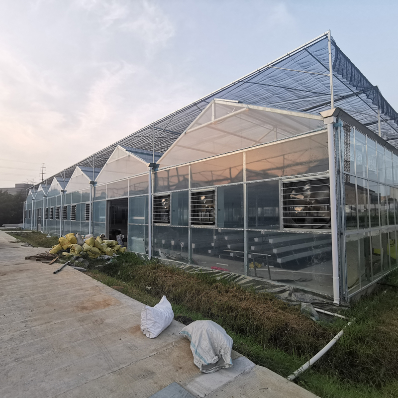 無土栽培，無土栽培技術(shù)，無土栽培設(shè)備