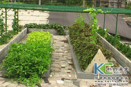 無土栽培，無土栽培技術(shù)，無土栽培設(shè)備