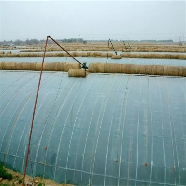 無土栽培，無土栽培技術(shù)，無土栽培設(shè)備