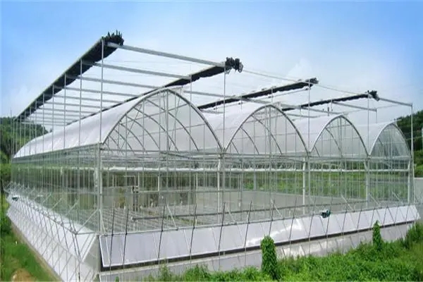 無(wú)土栽培，無(wú)土栽培技術(shù)，無(wú)土栽培設(shè)備